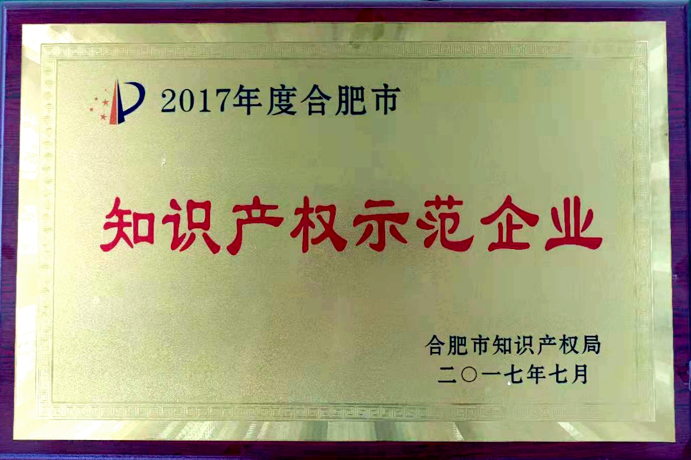 合肥市知識產權示范企業